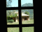 photo 29 - click to enlarge